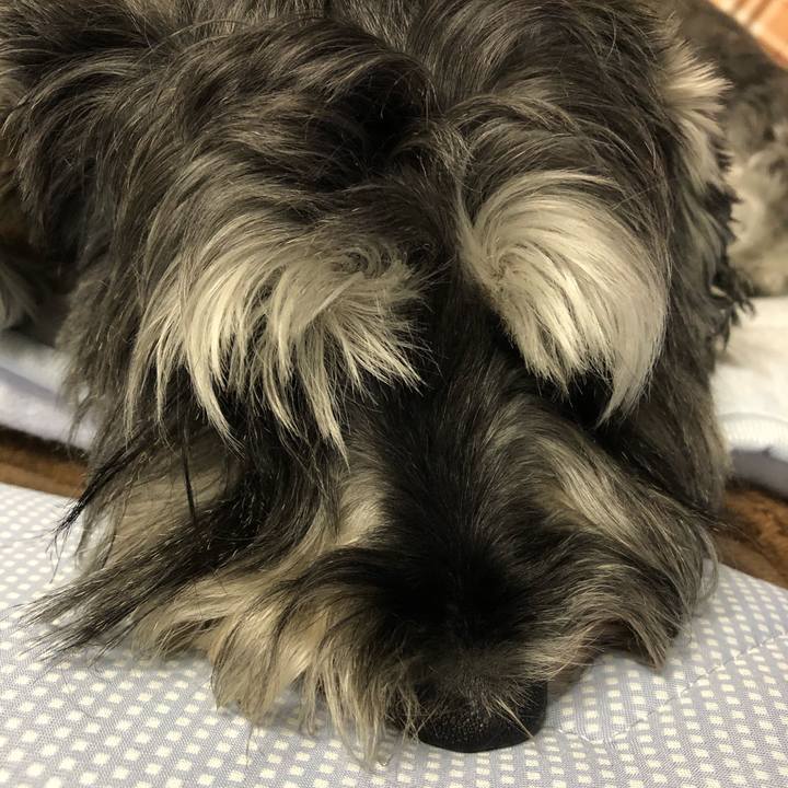 Fac984eb a051 458e a7f5 385350a5b506 1630156100501