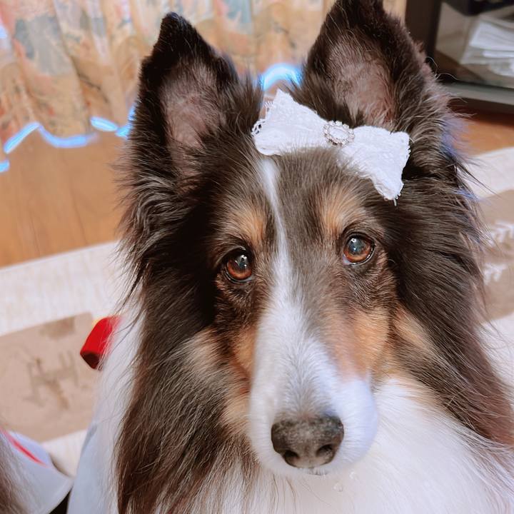 Fac989c8 74c3 4123 9064 e2d8b69b1523 1681586317228