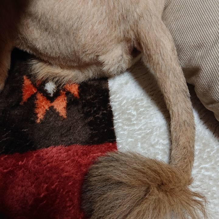 Fac99b9a 2294 4cbe 824f 9a1d78210c8e 1552553938807