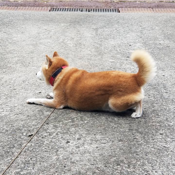 Fac9a51b 3085 4f46 b1cd 533b385f1c0d 1729741785329