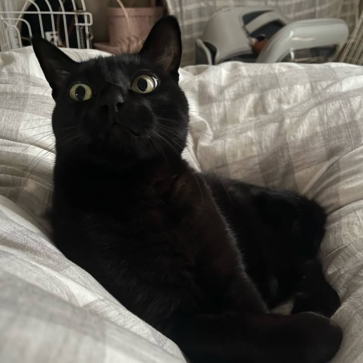 Faca4ccc 9f82 47d6 a3bb 635454749c85 1709858233276