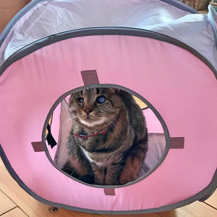 Faca615c abbe 4f19 b83e 6b82d11cc0fa 1522634103832