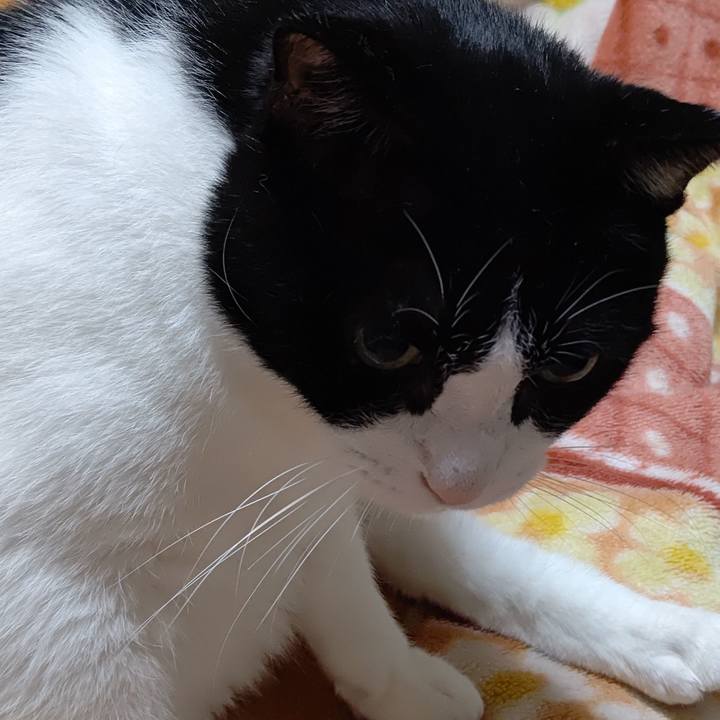 Faca7418 ec5a 4ab5 9f93 7340443f5437 1602075460208