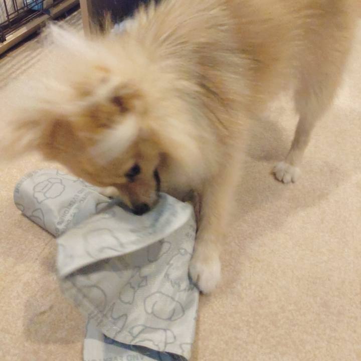 Facaaa04 e69e 45bc 842c 578892bf763a 1752890007337