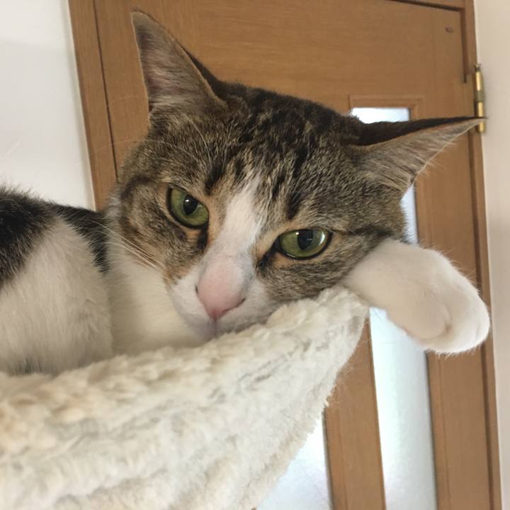 Facad57b 8614 49a3 8242 45662ce28cf2 1693007940823