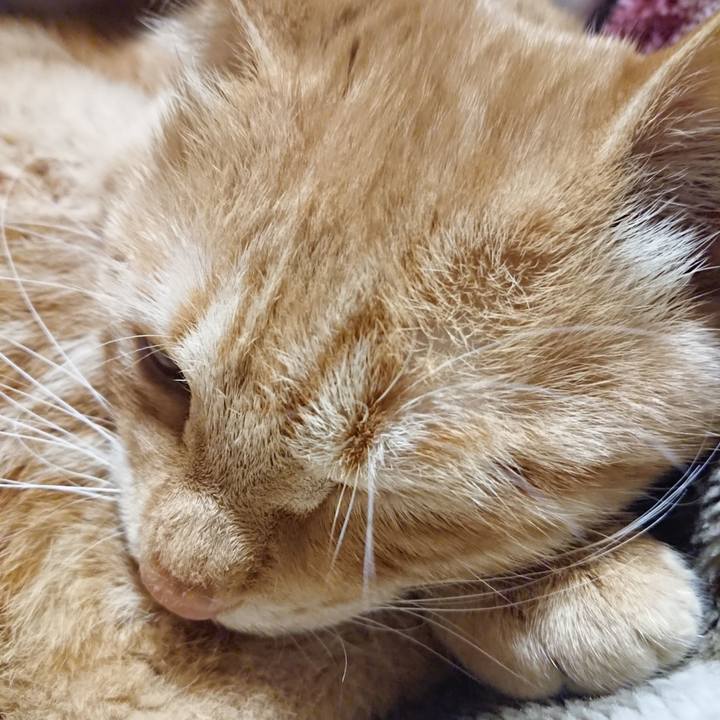 Facaf59d 4f77 4cd0 92fd 0e2f705d1999 1638707912587