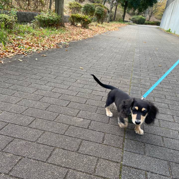 Facb4f89 9618 4d66 951c 4ceab86e9b23 1668723417790