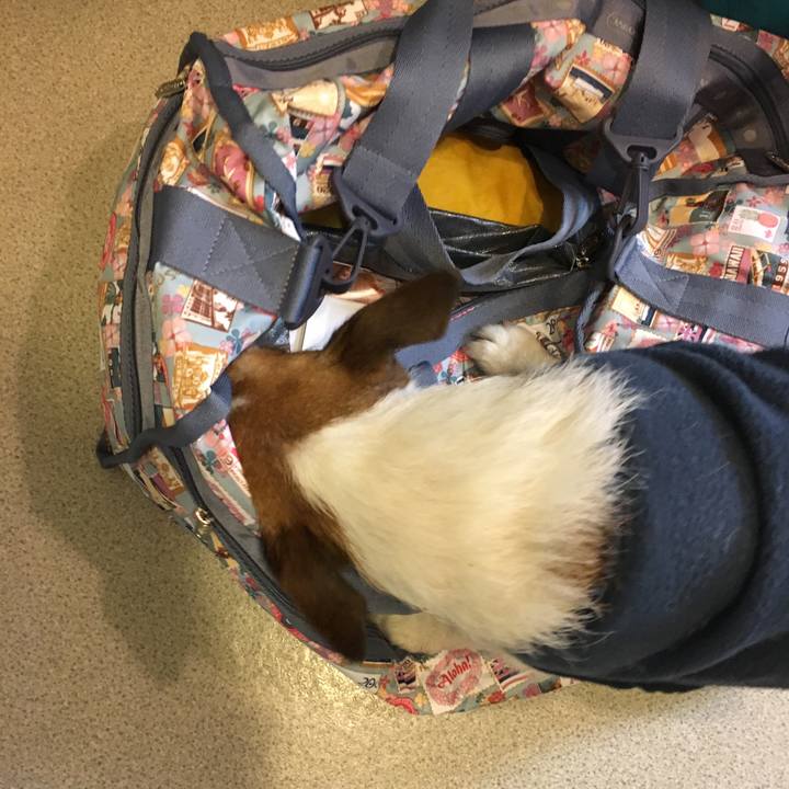 Facb5e59 a325 4392 bff7 ad637ed05106 1552742251772