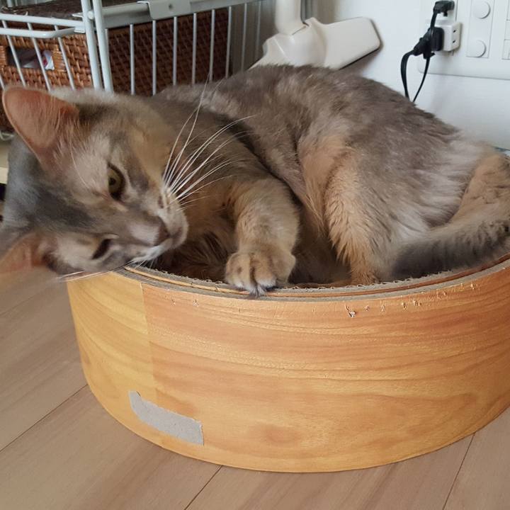 Facb69bf 9b4a 49a5 9486 c019b9d457bc 1574041884813