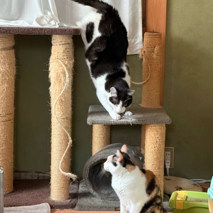 Facbf4cf 4372 417b 9c41 55f8c40f5479 1752198681778