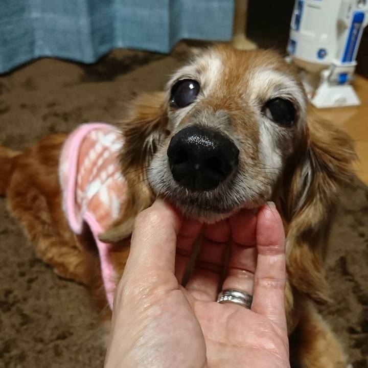 Facc1232 b656 40ee a44b a933bad99a82 1514780658738