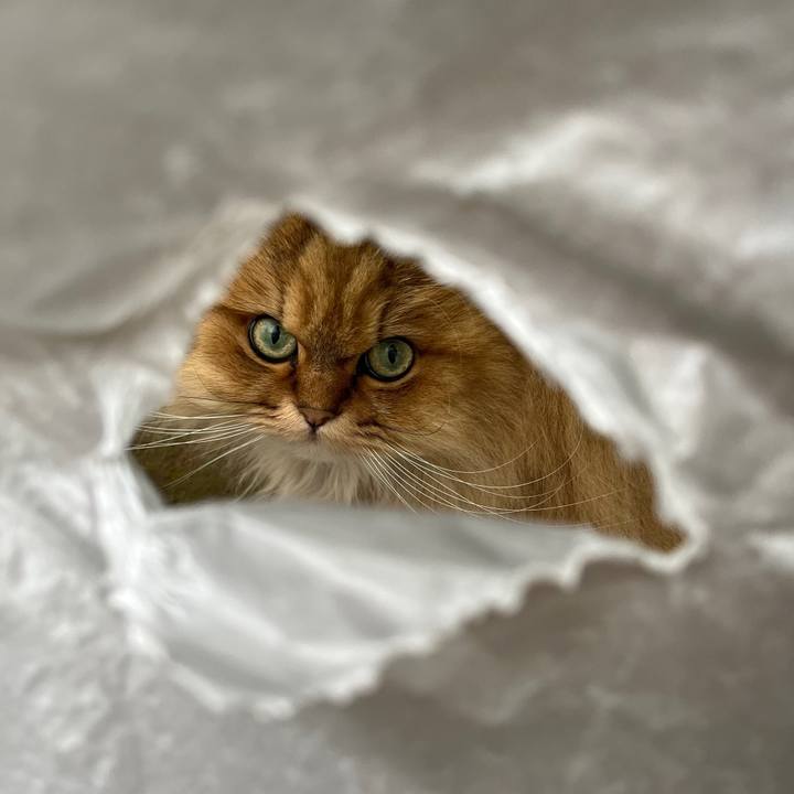 Facc192b af0d 4591 8350 bae09714d981 1653113599281