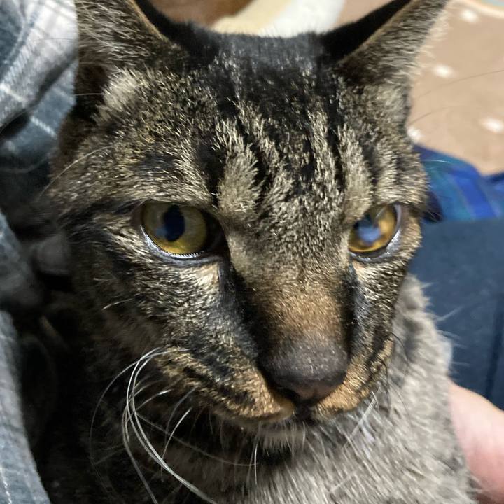 Facc1ce3 f0ce 47b1 99cb a17c095c798d 1636535872552