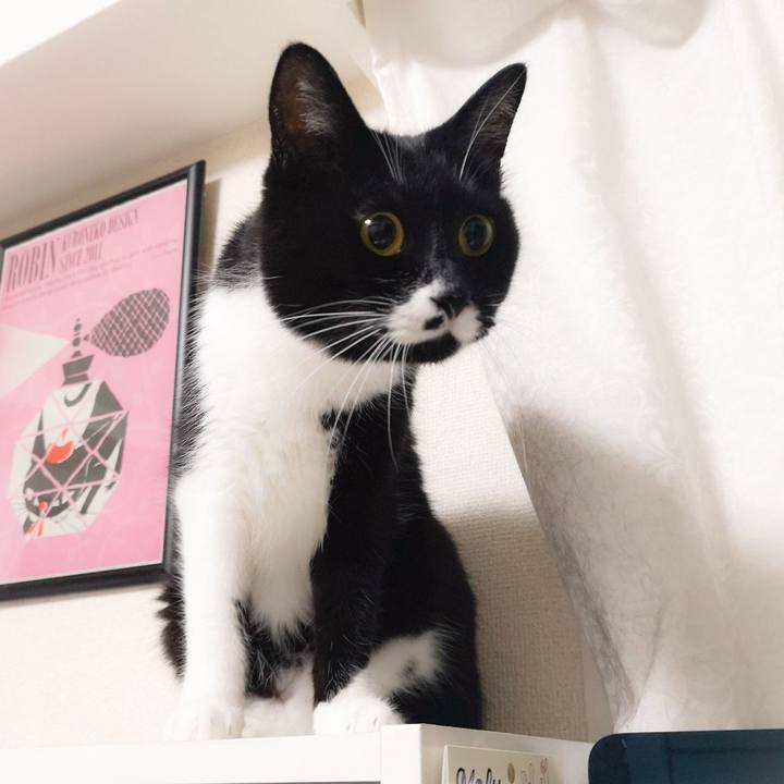 Facc1f25 d8c0 43e7 bf8d 5e99264845d6 1563720605756