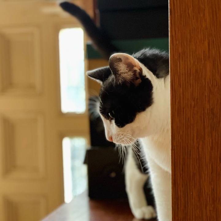 Facc45e2 350f 4ed0 94b3 020ba6ee3d3c 1659576928714