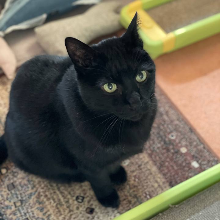 Facc8503 c2b6 4710 889f f80edcb0beeb 1614389307943