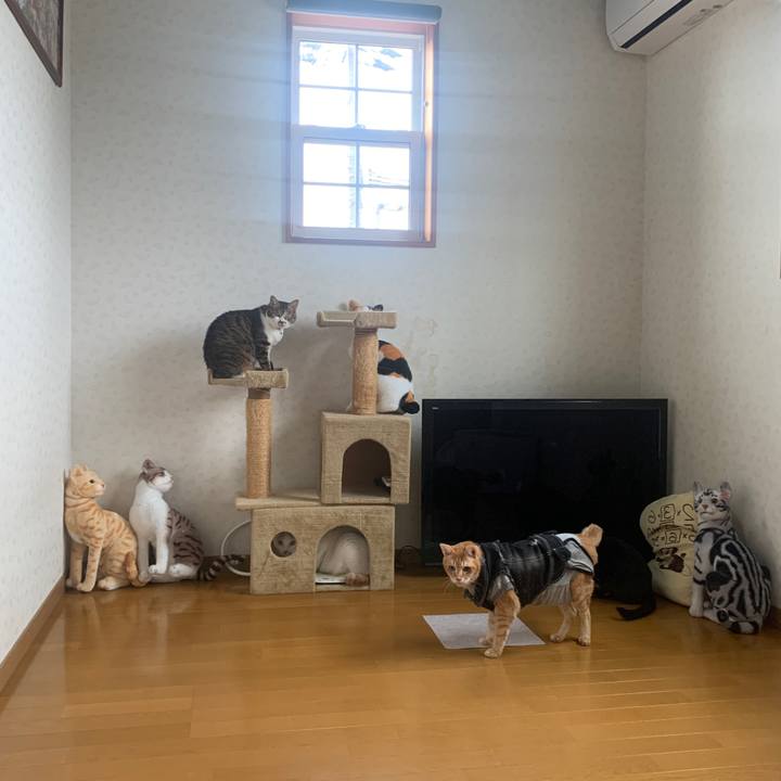 Facce77f 1172 406b a5eb ac830b269c80 1644043598134