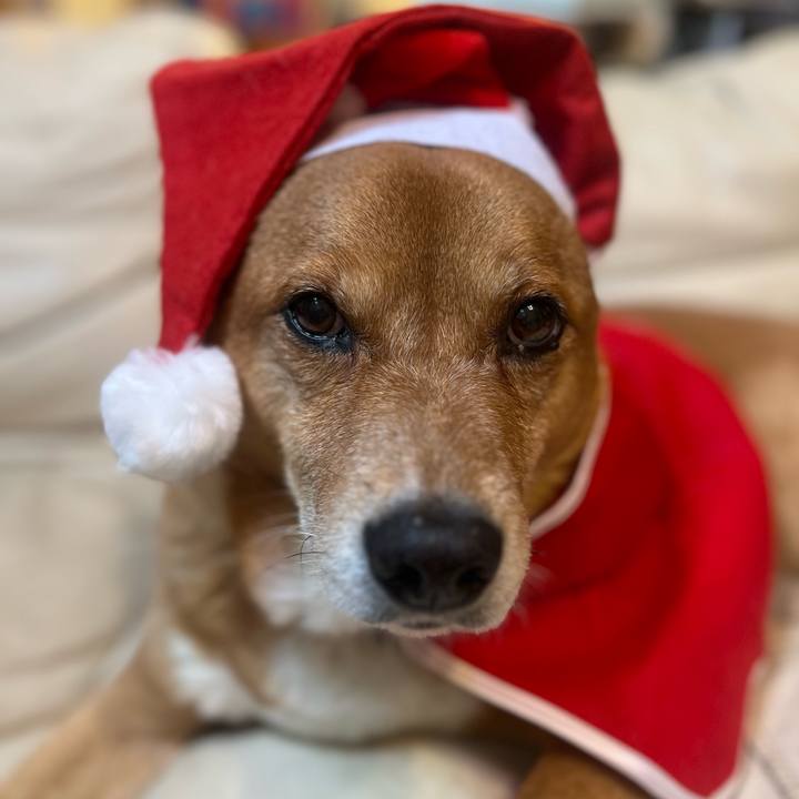 Faccf864 bec0 4b2a 93ac afd6ffd13cff 1703373921502