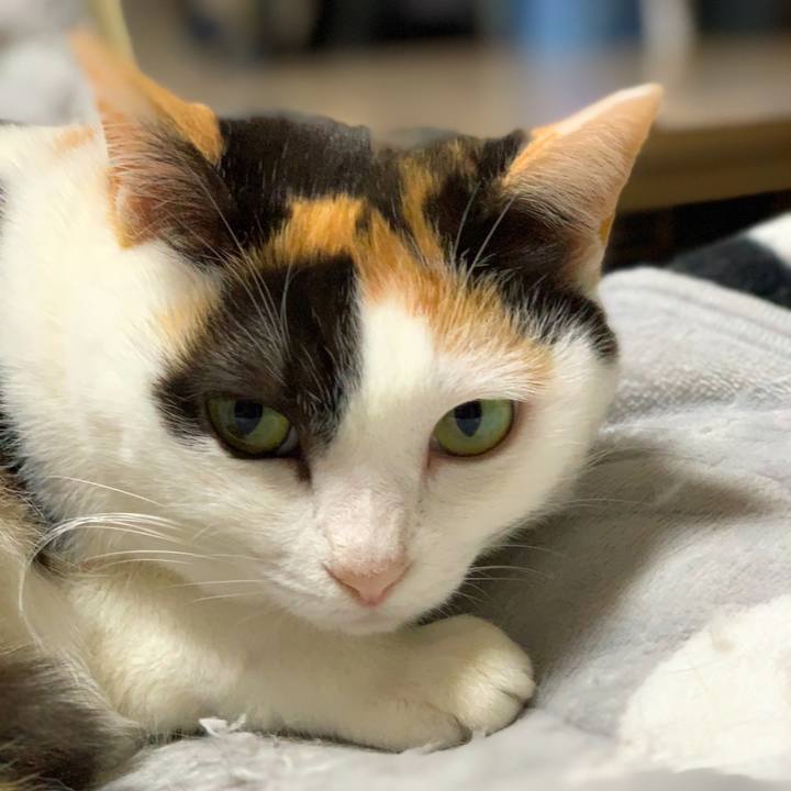 Faccfe8b 846d 42da bf91 56e8b80e1f2e 1579917974560