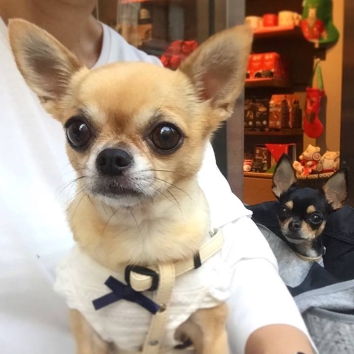 Facd1af6 366a 494f 8cbf 1e945aeaea54 1510040961290