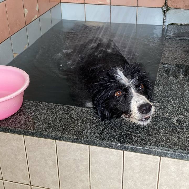 Facd44ce 349a 4f2a 9ada 5d022fbba1b1 1695439925876