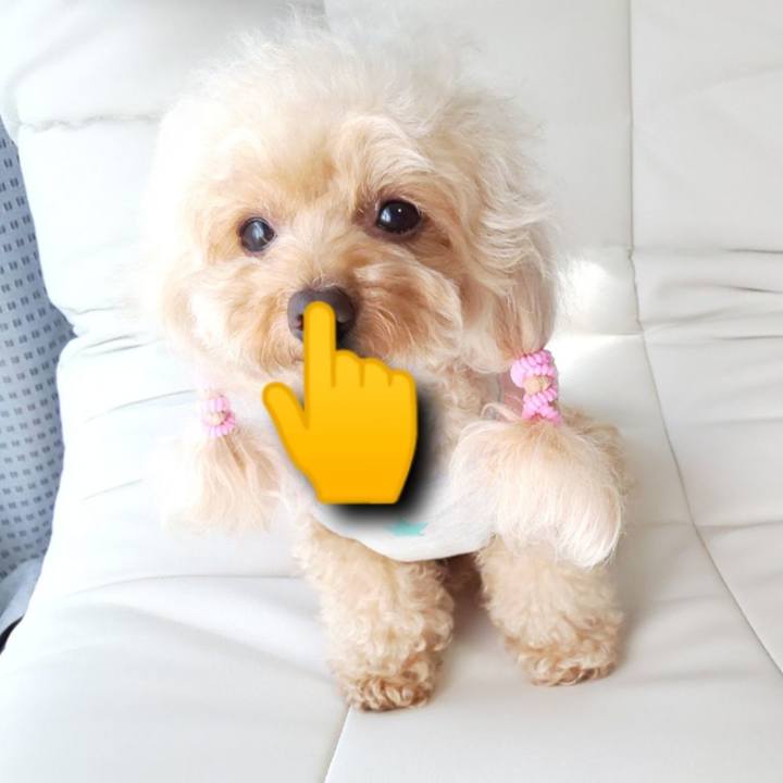 Facd586d c8a1 42d8 839d 492b888e3af5 1570157294936