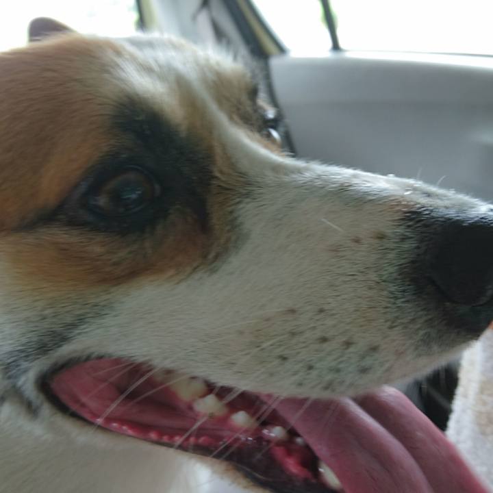 Facd6c4d a58f 4ab0 9b63 b06283781d6b 1600394645555