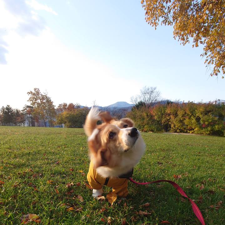 Facd6ccd 4b7b 4f93 b972 2f90072bdebc 1761782465311