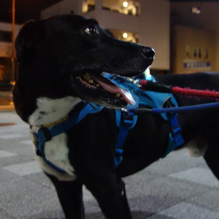 Facd884e 8e3a 4cd7 94b6 c6c650f54532 1633429639424