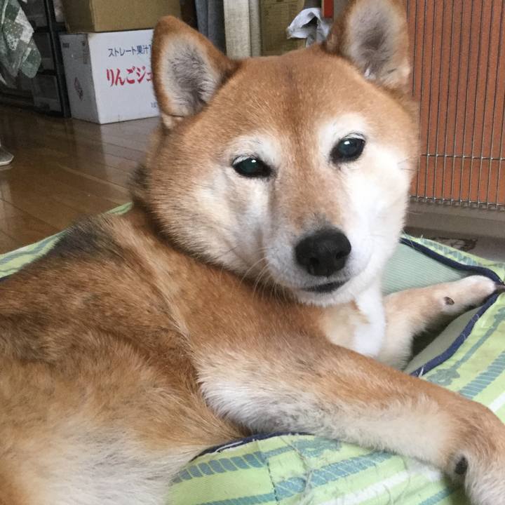 Facdc43c f6ce 41a0 b3e4 cd3751fa9679 1615088860280