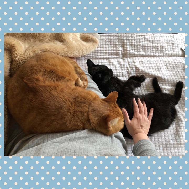 Facdc520 04dc 4715 a59d 109278a1b0a2 1591396581806