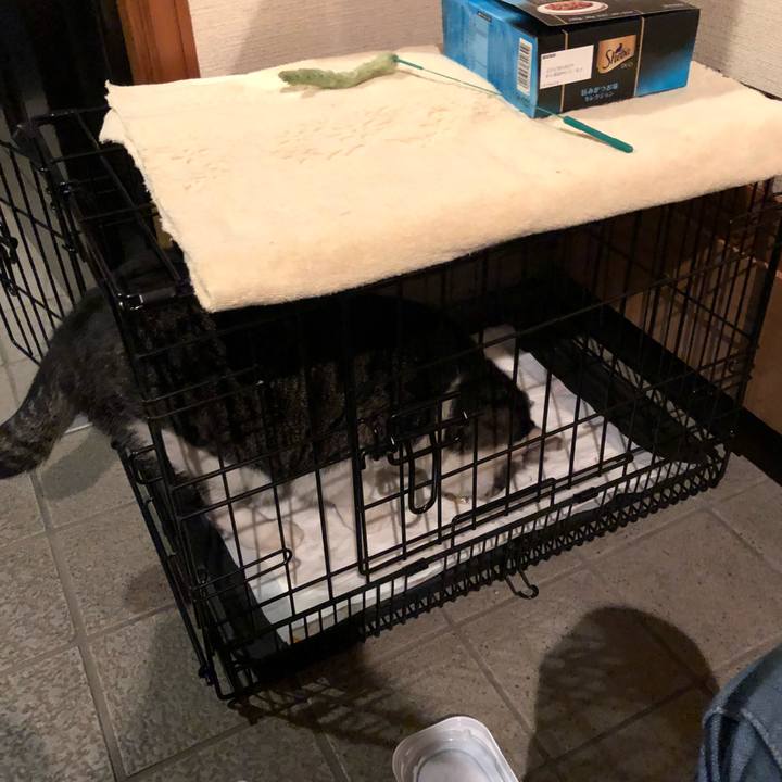 Facdd1aa a4e4 43ce 88df 9b509176e4a1 1538198909990