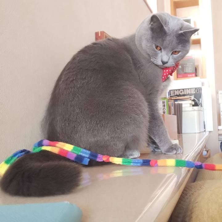 Facde441 8a3f 4dbf a4f8 9aef584bb654 1545889472536