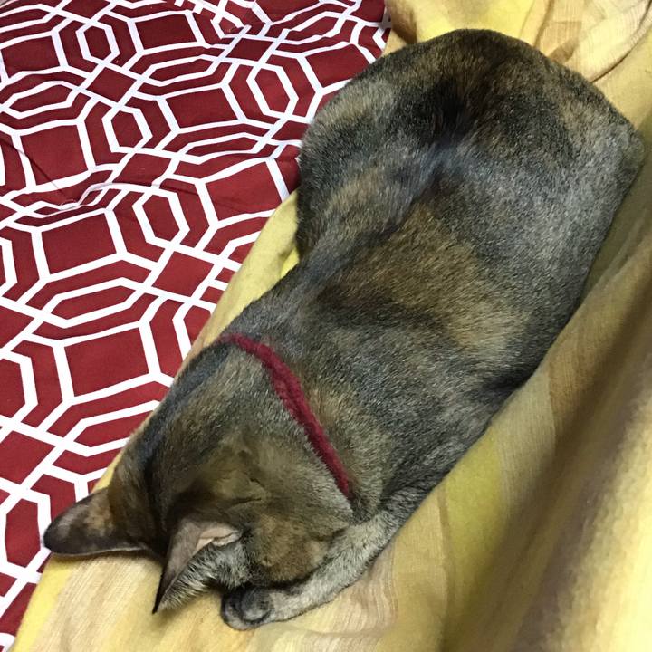 Face0c02 8166 432a a997 aa40d1a7a864 1612345218342