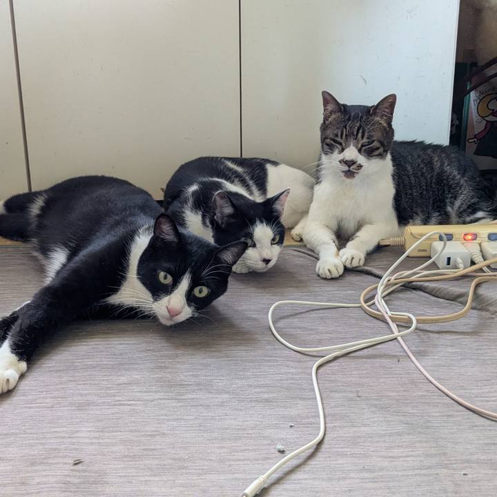 Face0c85 309b 45a5 b053 b3d4a01e6265 1753549135034