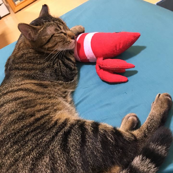 Face1efc a155 4b64 8ac0 7dd6cb6b2f2c 1522743855690