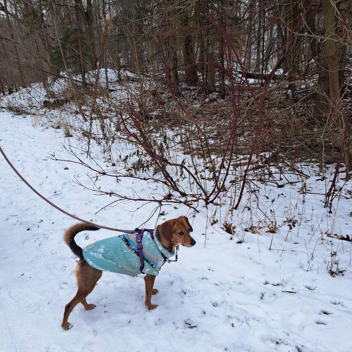 Face23a0 57b0 4525 a92a 82337222e3ac 1765063721852