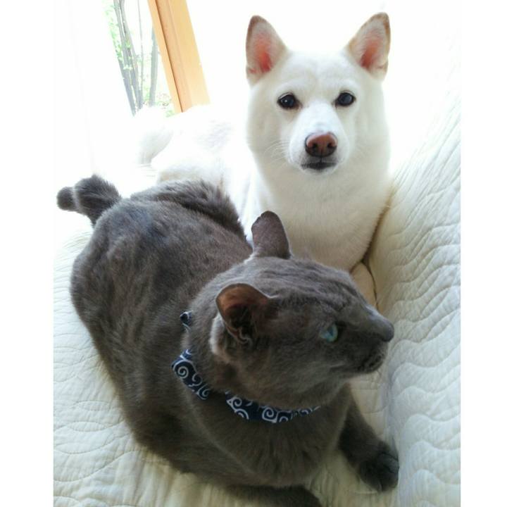 Face3826 f327 4d0b 9214 048ea6a68c3a 1562034278949