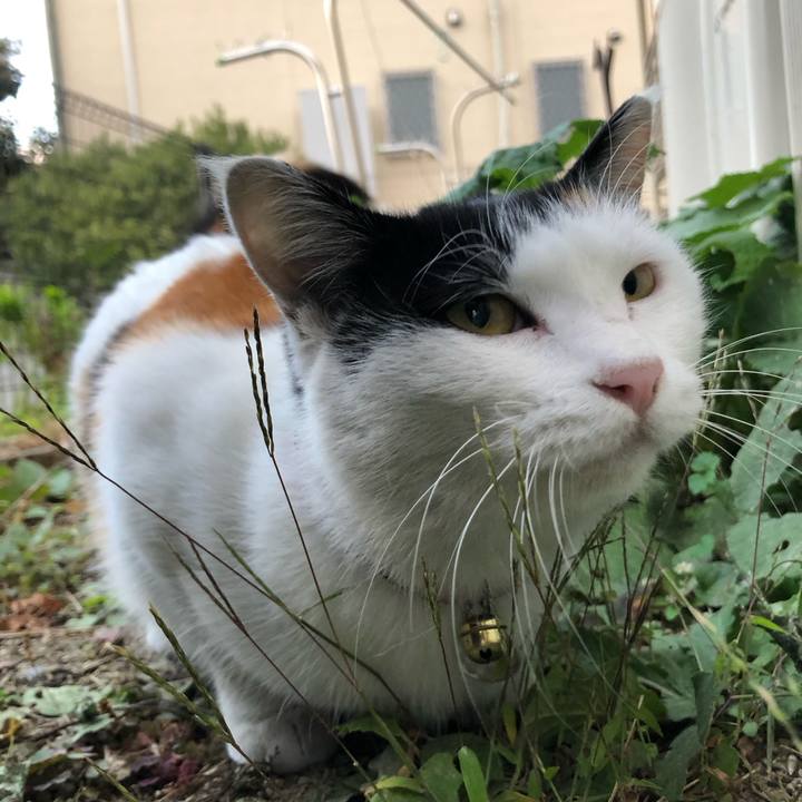 Face3e8f cb2a 4aba b089 48d6ffd5bbbd 1606516456438