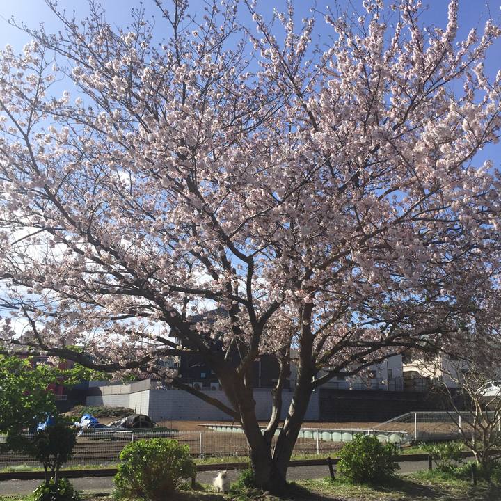 Face5248 4987 483c a939 c339e1af6926 1585786791165