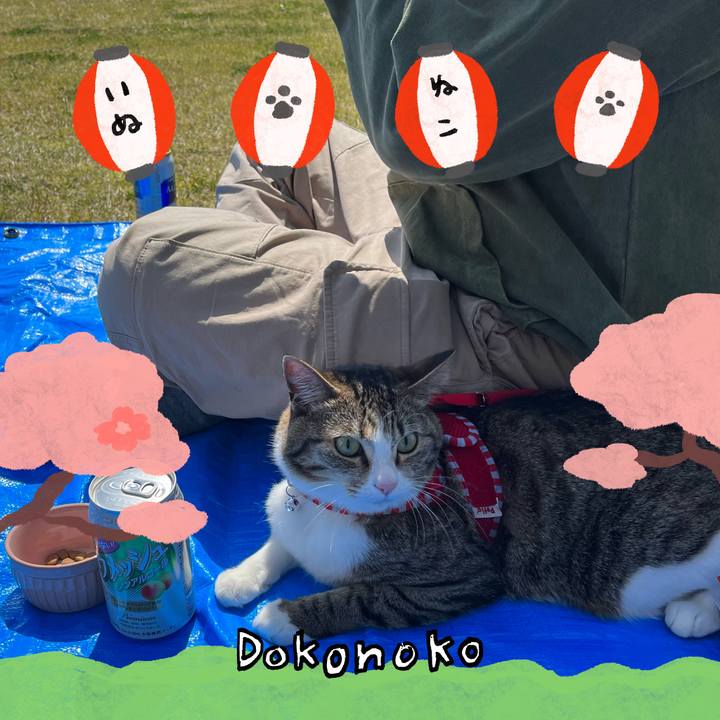 Face7b0d 6c96 4f31 ad8f 4ab100bf7239 1712544259173