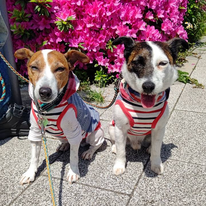 Face849f 977c 4058 bc5a 70099eed574e 1714267297295