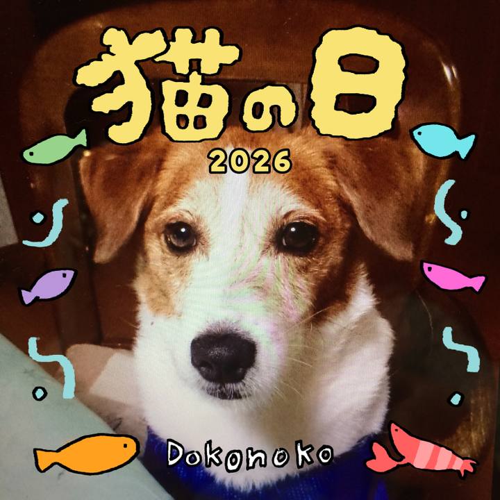 Face8ed4 f746 4f8e 817e 9315e6c2b1e9 1771726093430