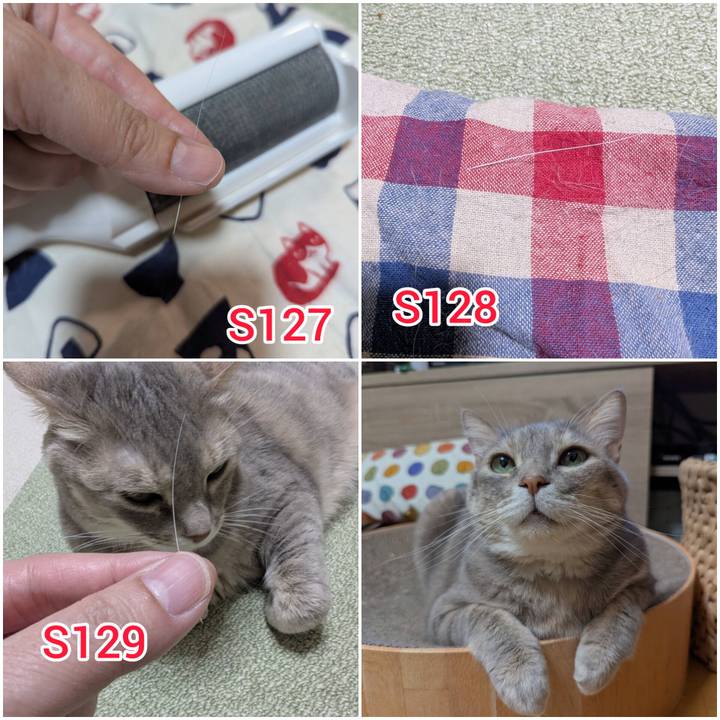 Faceaf8f 4b94 4d20 85ae da0aecad5d0e 1746591055990