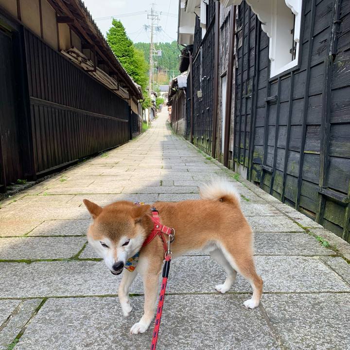 Faceafad f754 42e6 b152 7ffb93fe216c 1625908528964