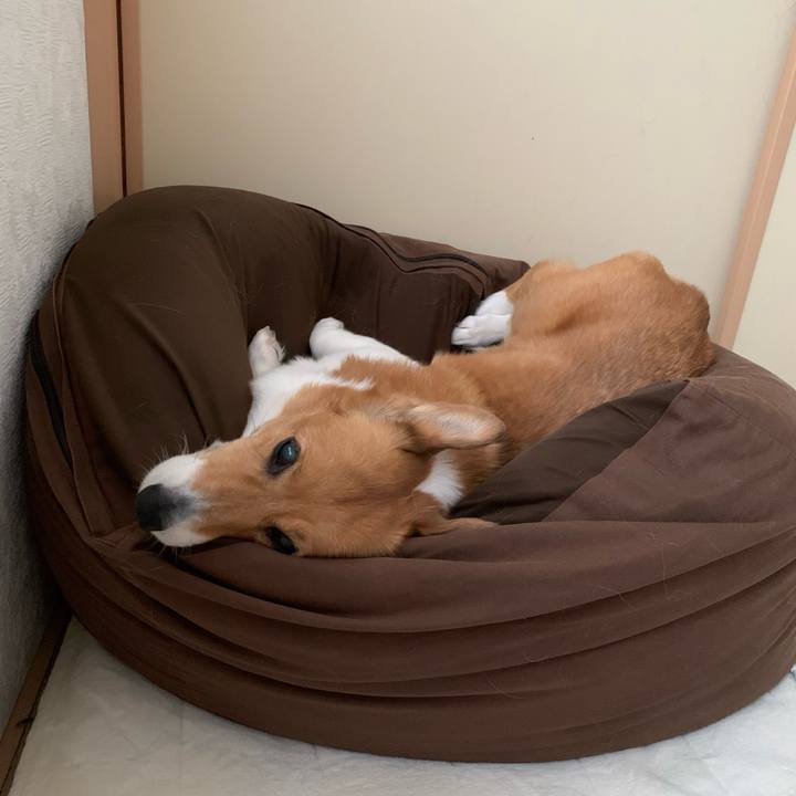 Facece71 6451 4e56 bfcd 64a91411da46 1711415355313