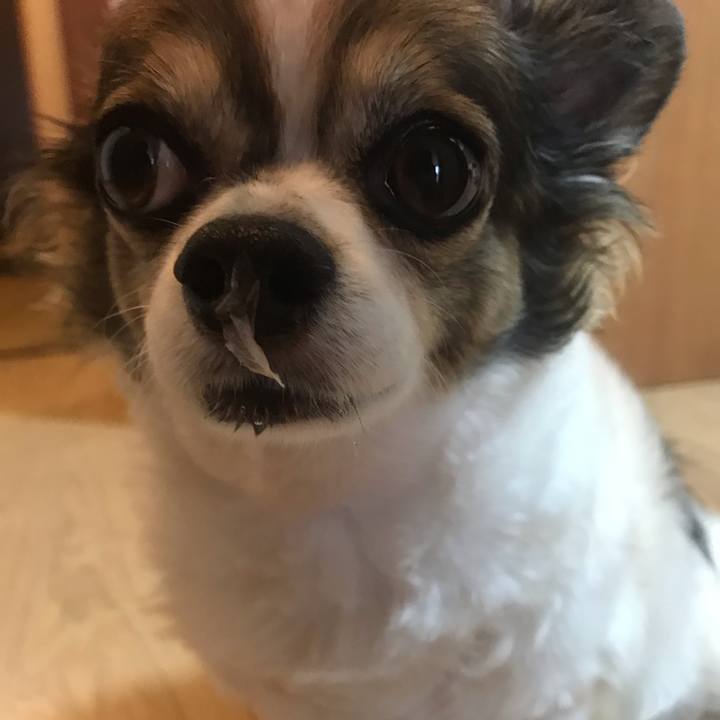 Facecfce 7221 47bb 8c7b 0c01b788a418 1632272865307