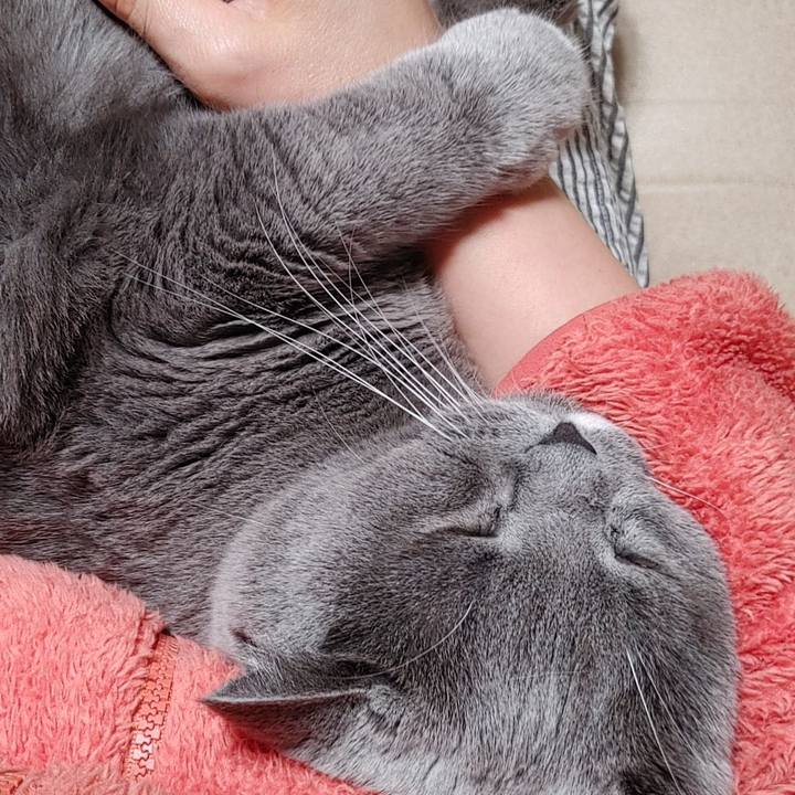 Facee881 57f9 46f4 9340 47fbe02c8e9a 1668931855101