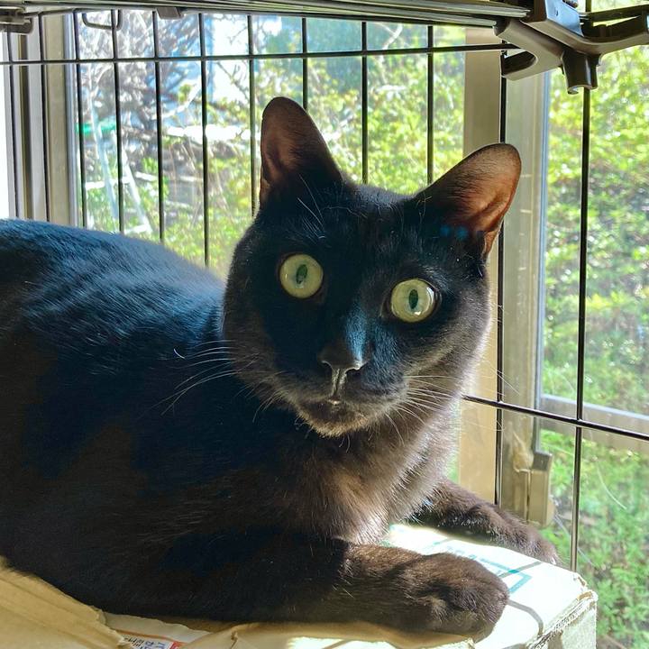 Faceedb4 71e8 4e78 bafc 85a191588113 1712038010847