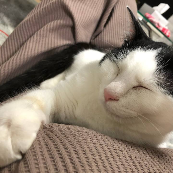 Facf2cb9 010c 43da 95d3 da3986b5345f 1554631788470